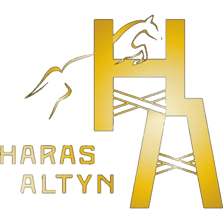 Haras Altyn